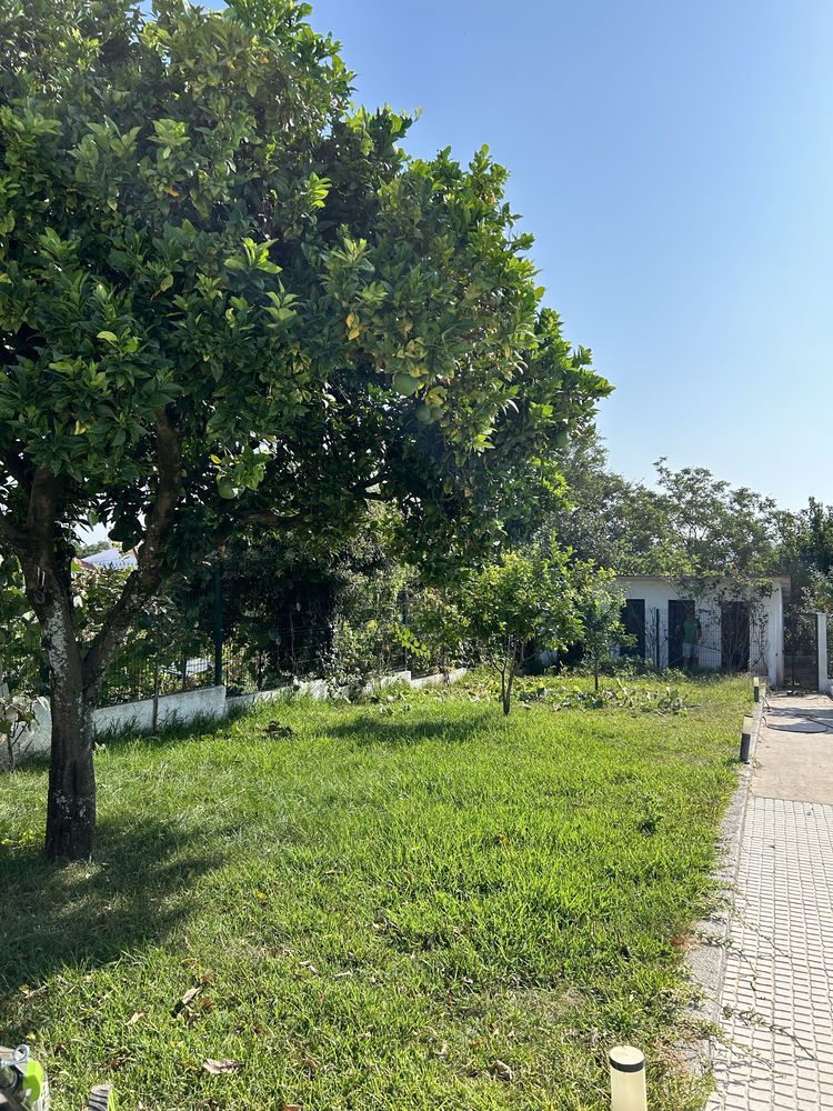 Serviços de jardinagem