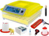Inkubator Automat DINO 230V na 56 jaj klujnik wylęgarka Prześwietlarka