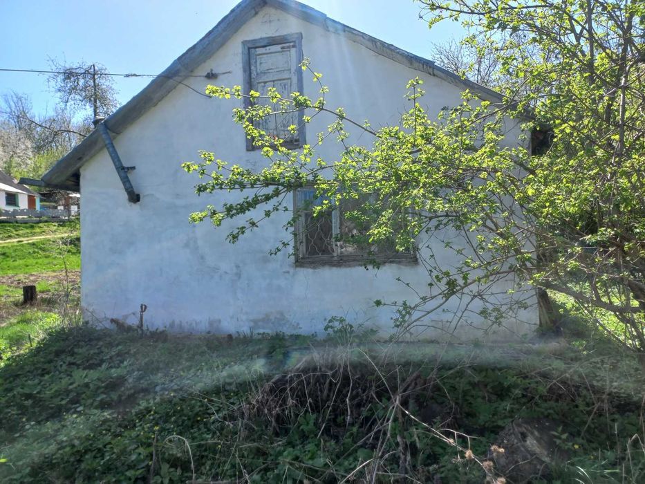 Продам будинок  м. Тараща