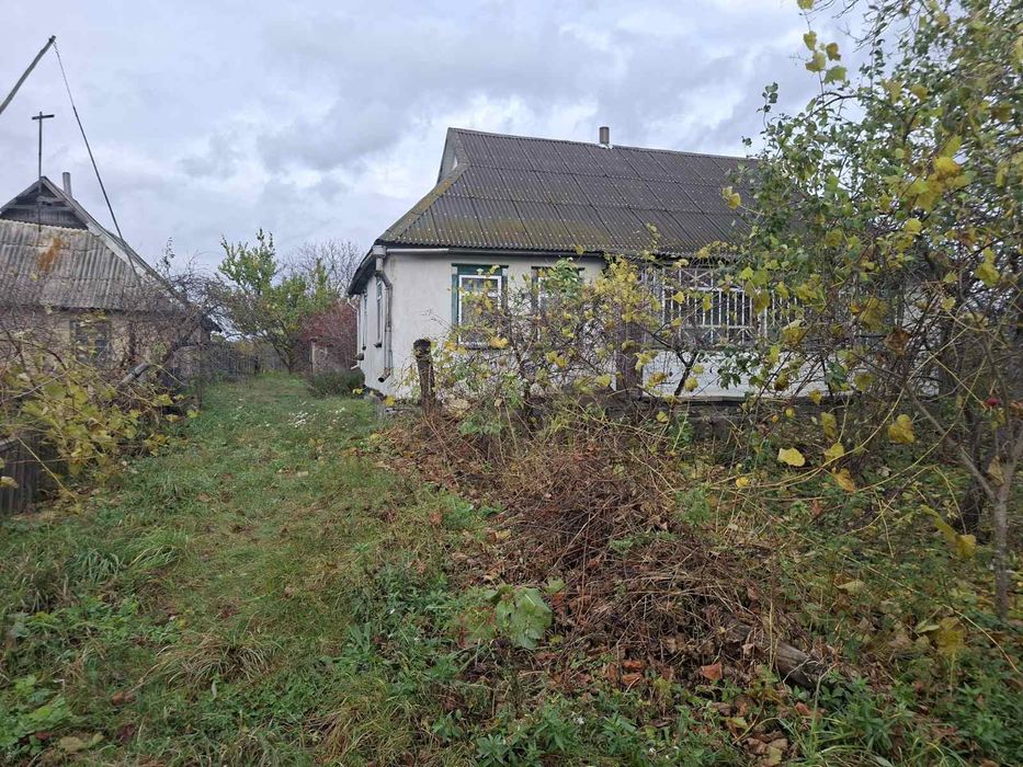 Продається хата в селі Ходорків