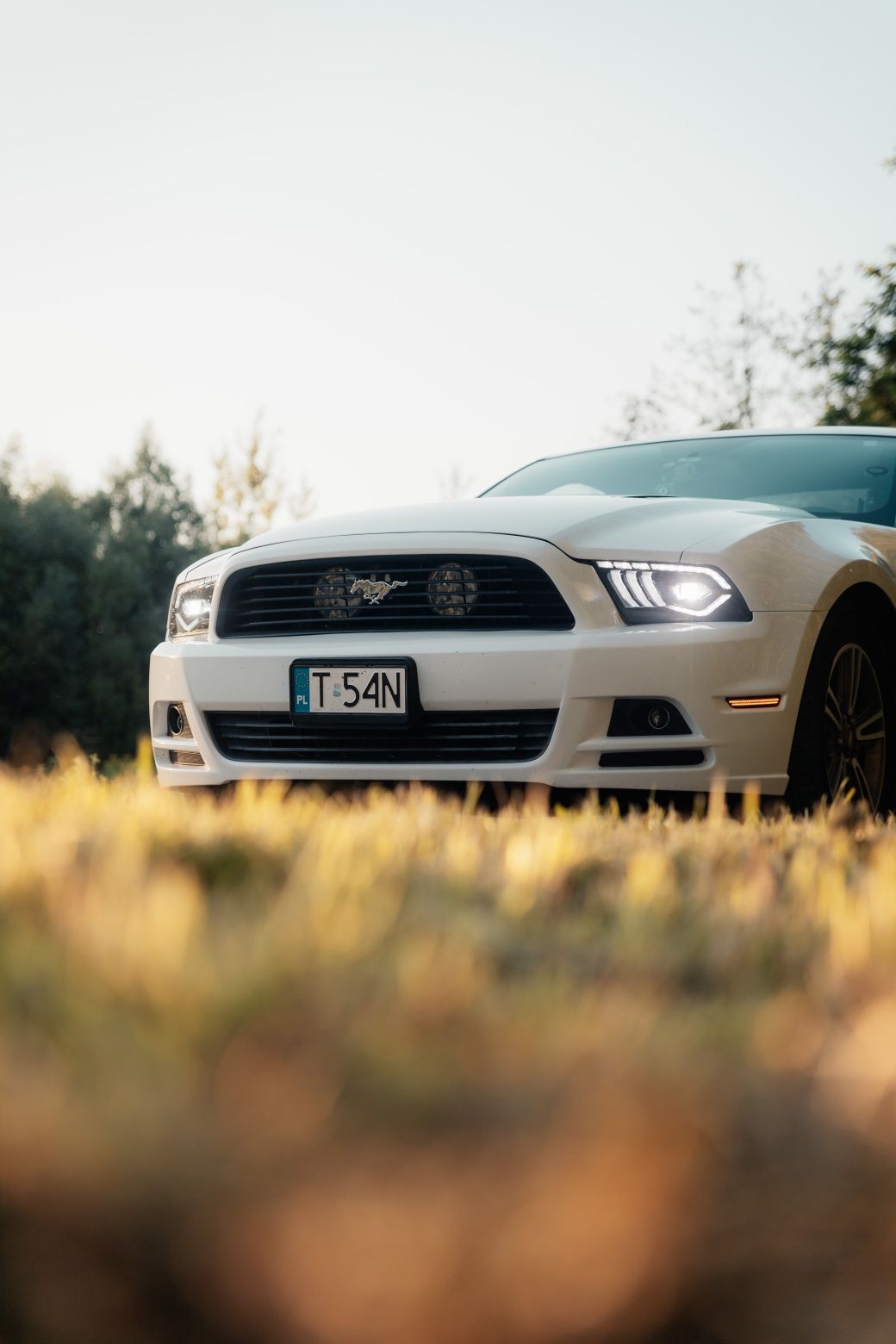 Ford Mustang 2011/2013 3.7 V6 PREMIUM