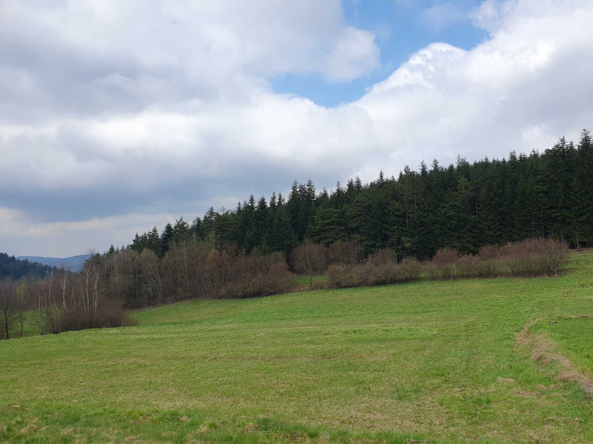 Domek pod jodełką Harbutowice