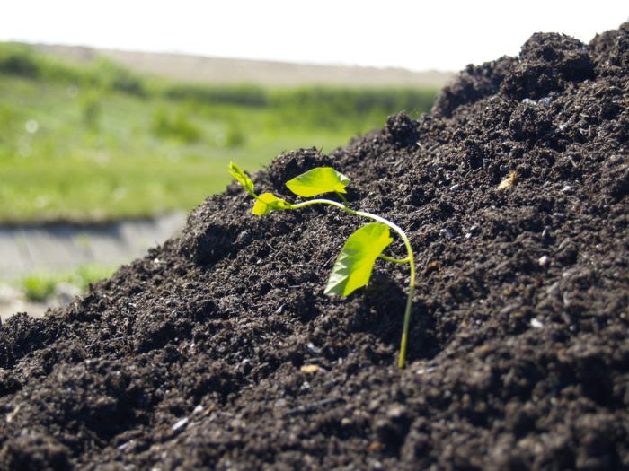 Kompost Nawóz Organiczny Workowany i Luzem