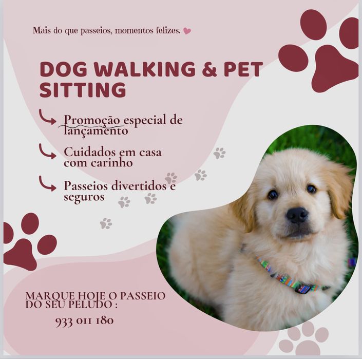 Dog Walking & Pet Sitting em Viseu