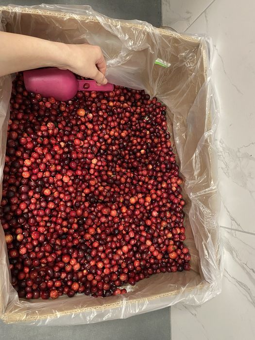 Клюква журавлина