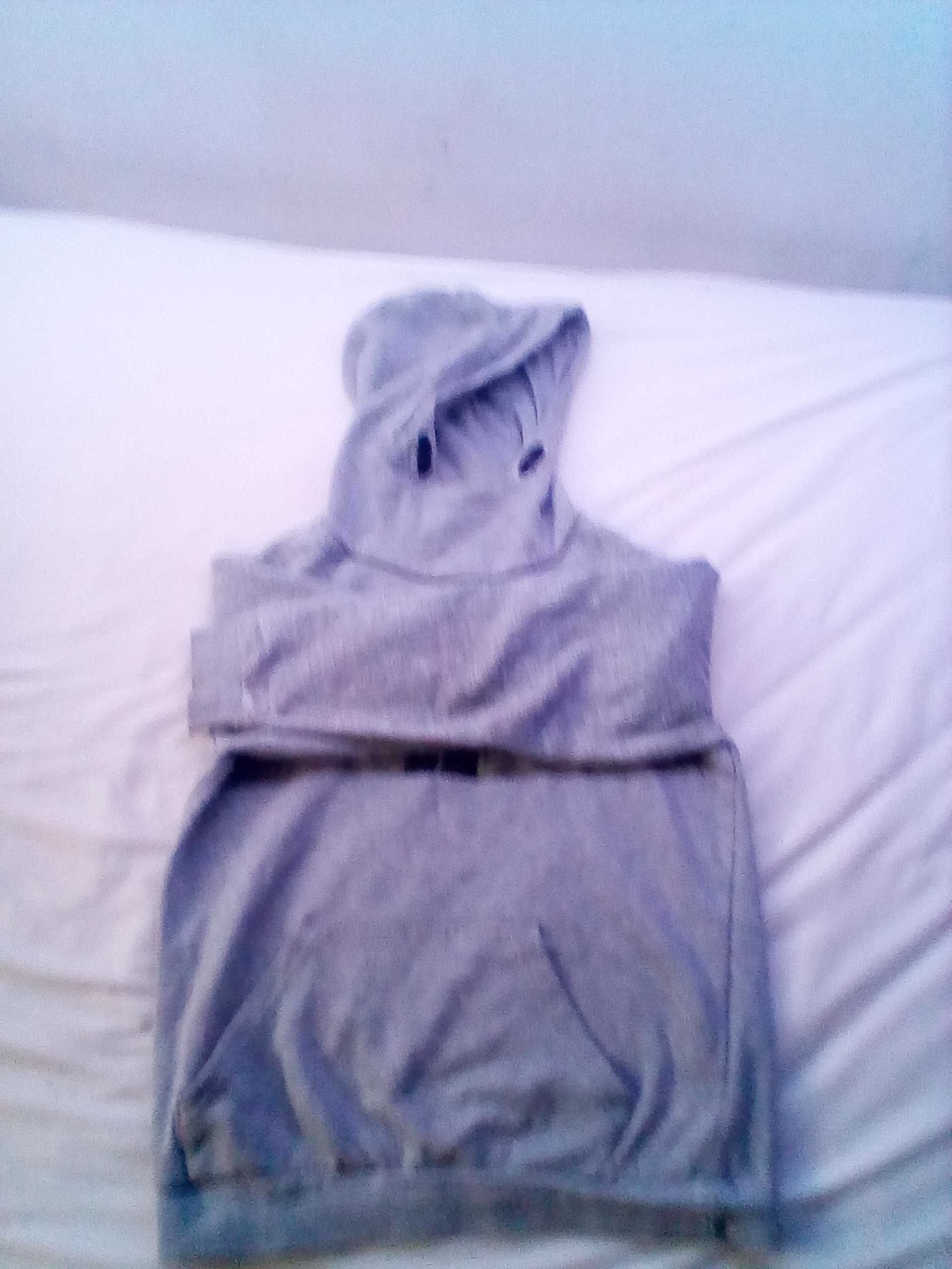 Bluza z kapturem 4F