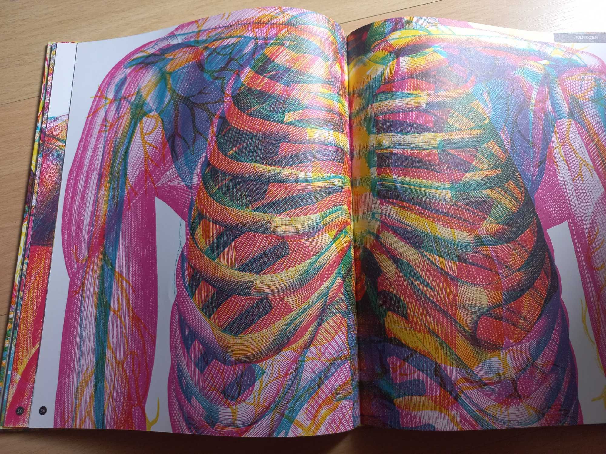 Książka Gabinet anatomii