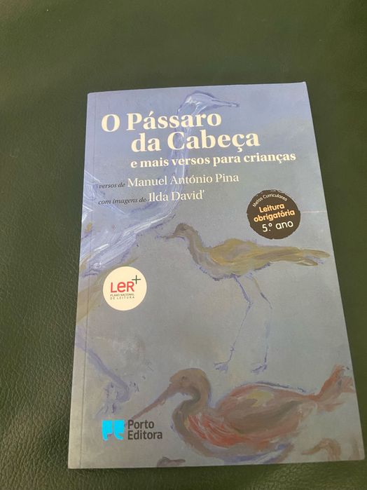 o pássaro da cabeça