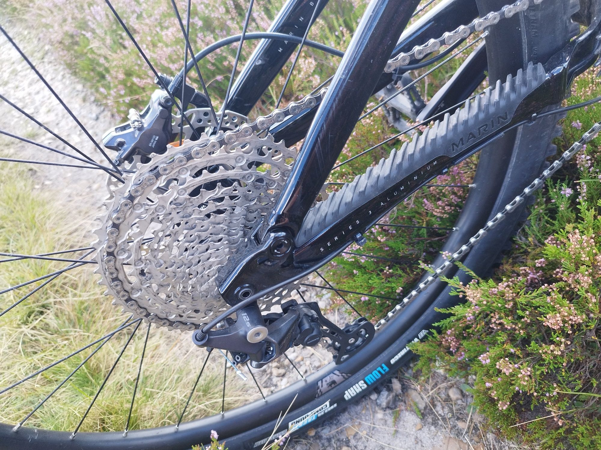 Marin Rift Zone 2