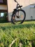 Rower Trek Marlin 5