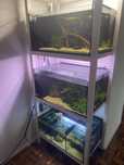 Aquarios rack completa