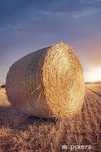 Bele słomy po prasie pasowej New Holland