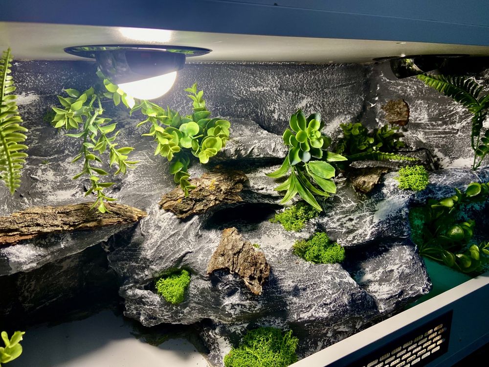 Terrarium nowe 80x40x50 Agama waż gekon