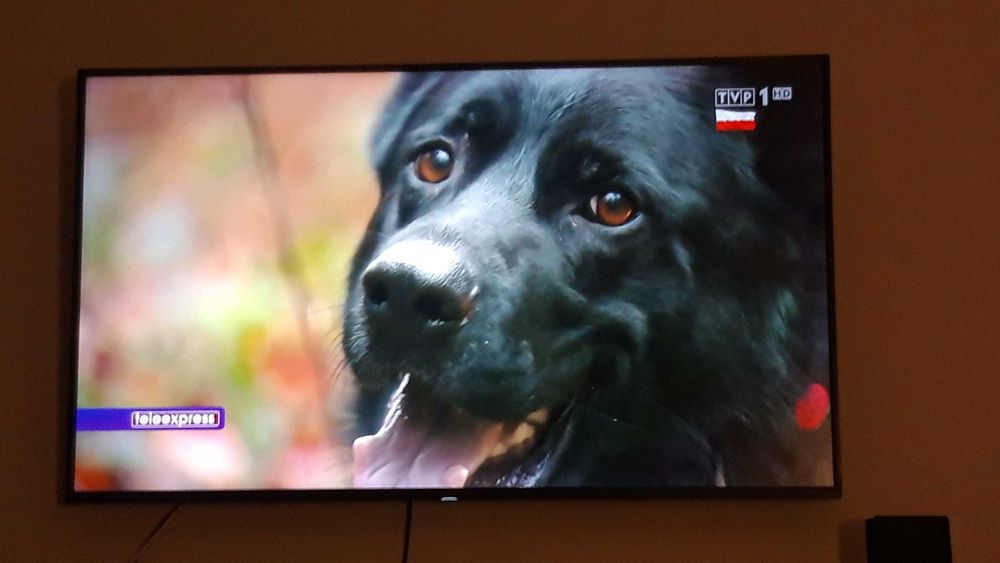 Tv LED SHARP 55" 4K UHD smart tv wi-fi sound system by Harman-Kardon