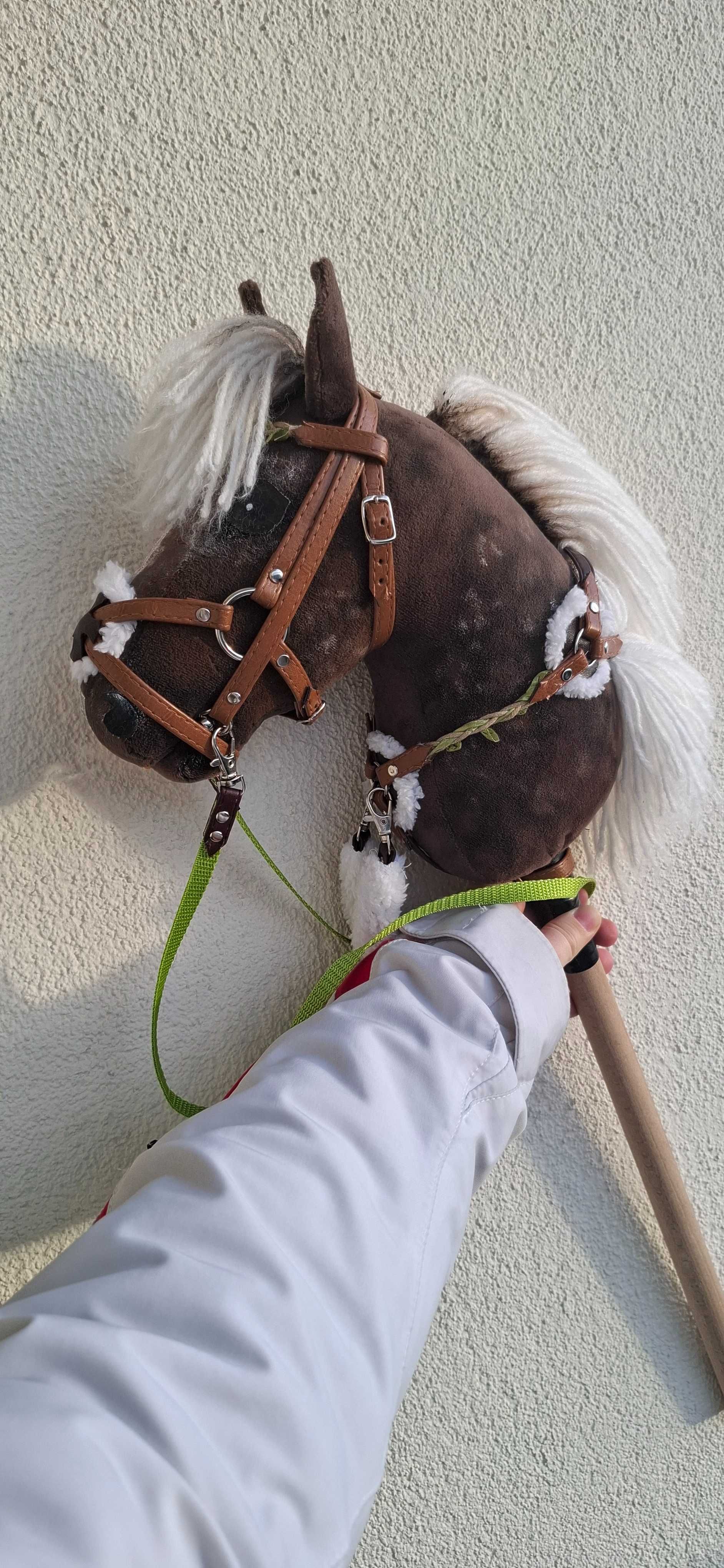 Hobby horse ze sprzętem karo-srebrny kht AHL ~Rival Star~ Orion