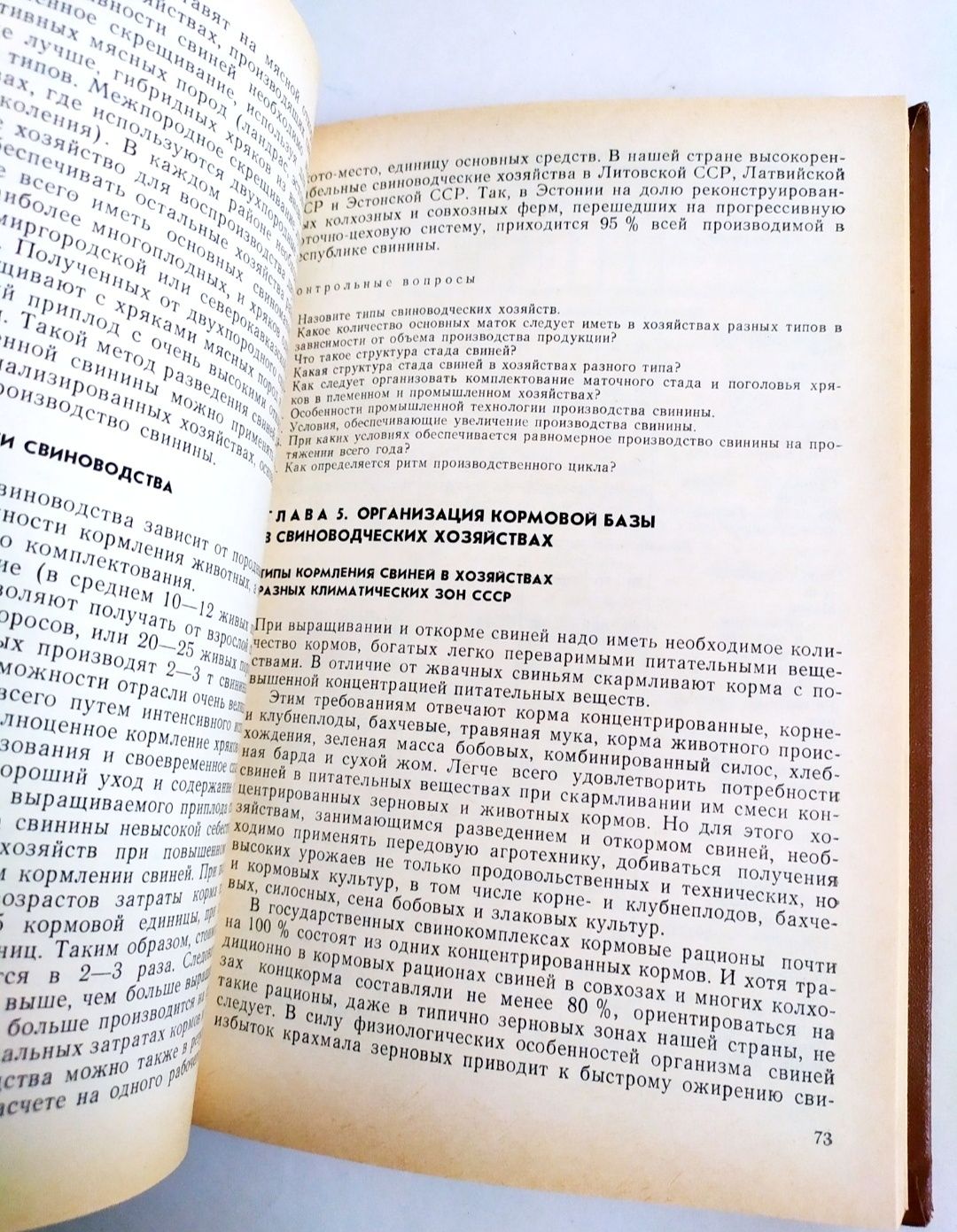 СВИНИНА Технология производства Свиноводство и технология свинины