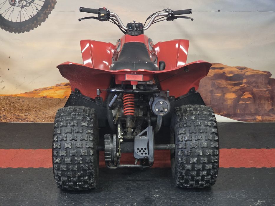 Can am ds 90 model 2018