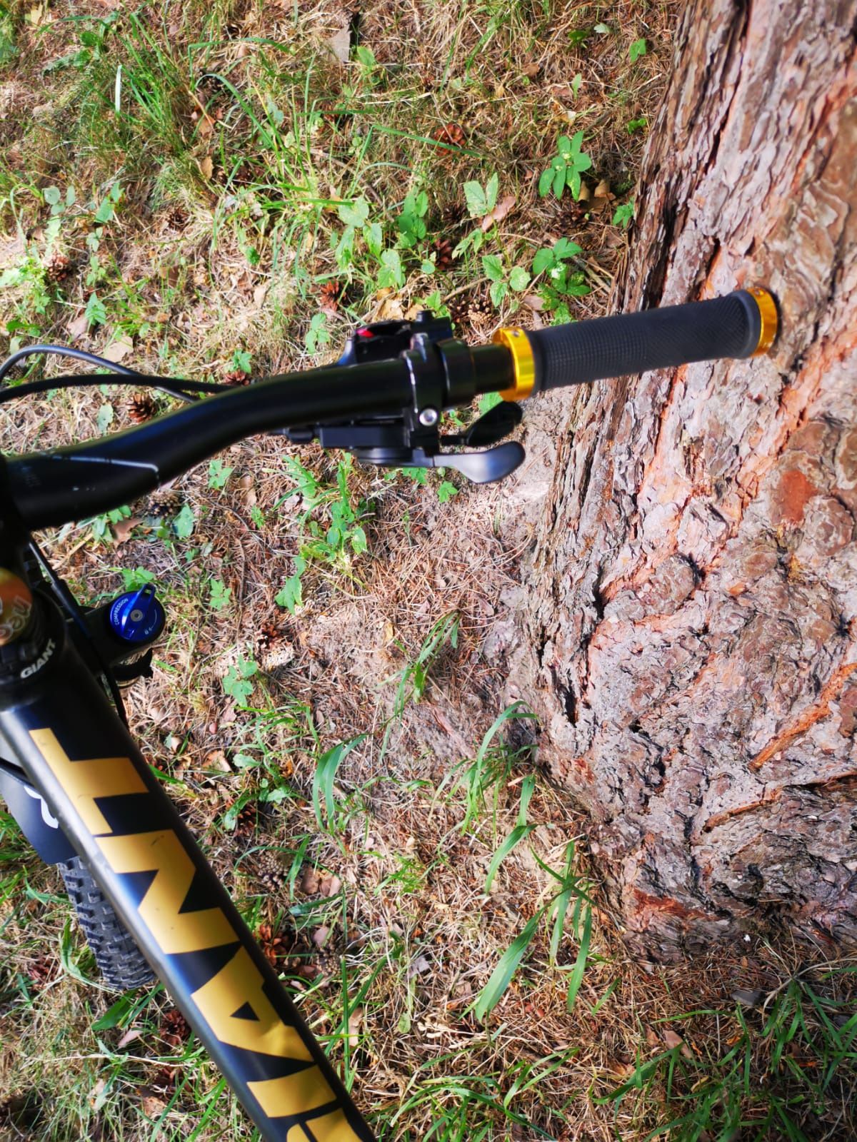 Rower MTB Giant Trance Advance2 2017r