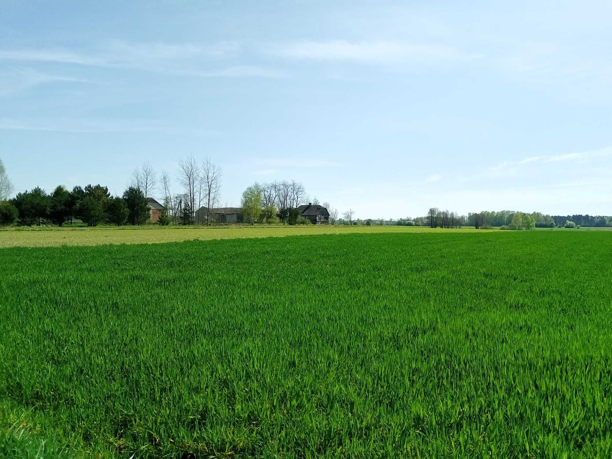 Działka siedliskowa