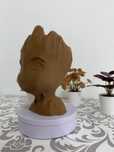 Mealheiro groot