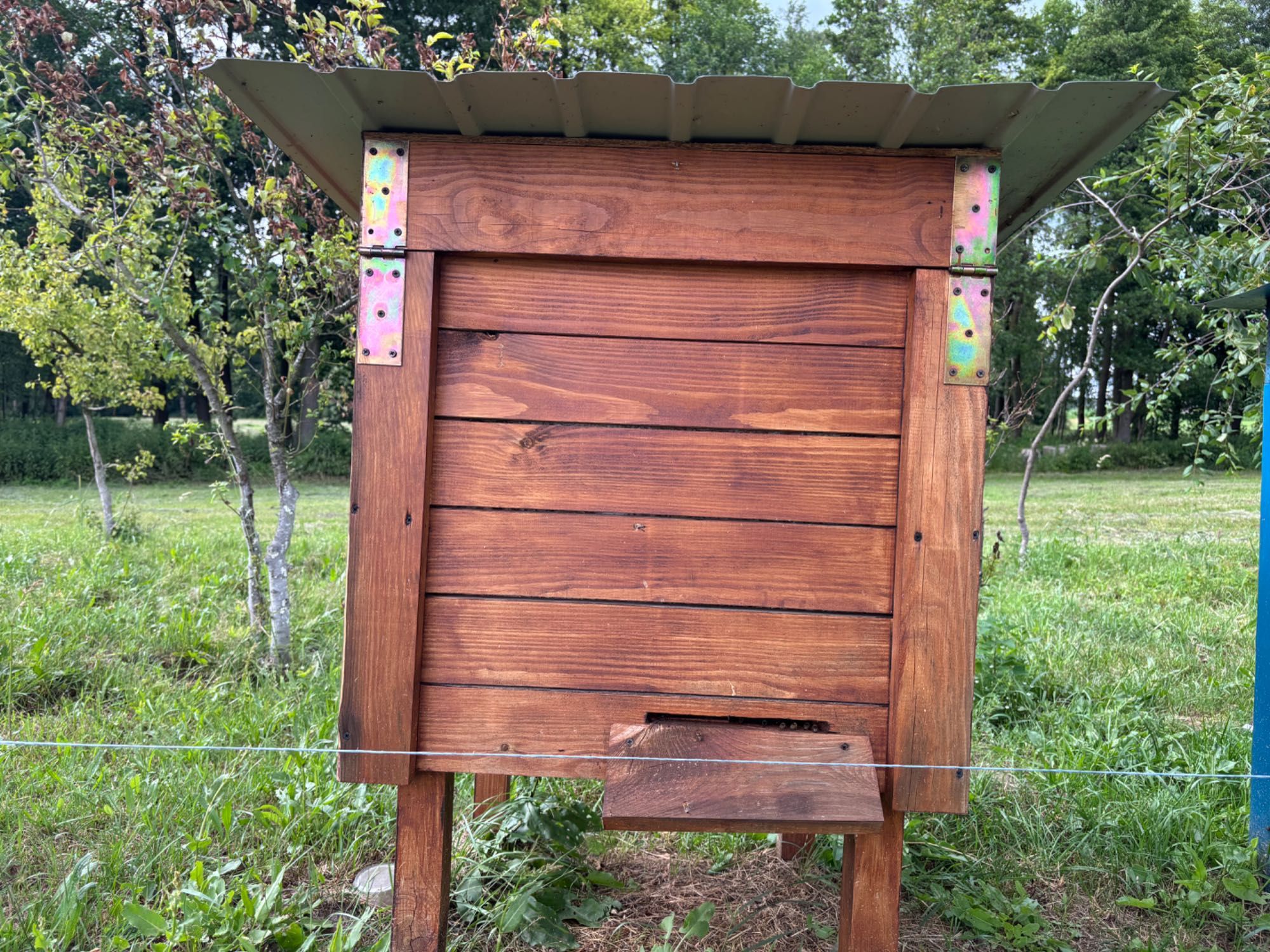 Sprzedam nadwyżkę rodzin pszczelich
