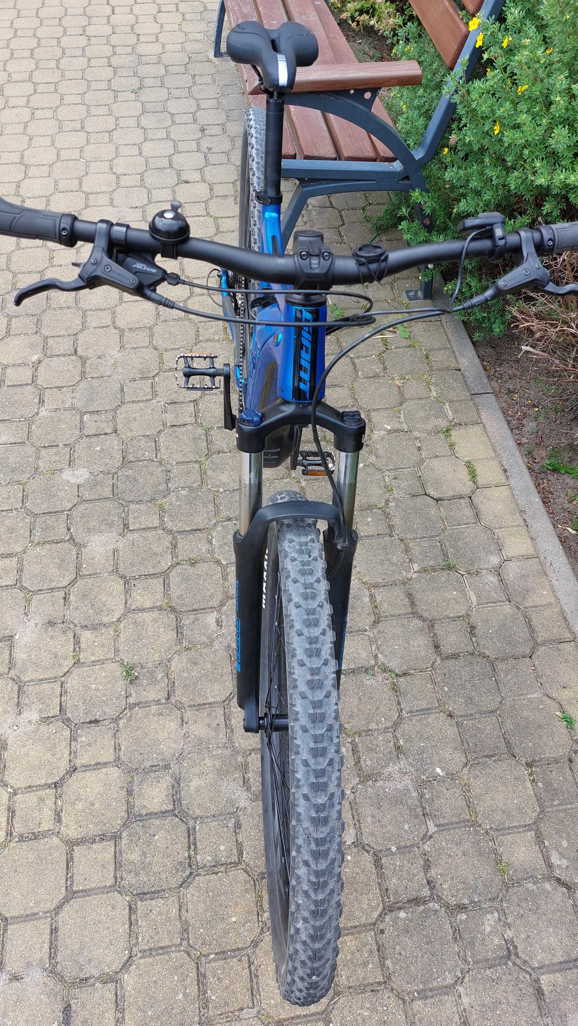 Gaint Fathum 29" rama M