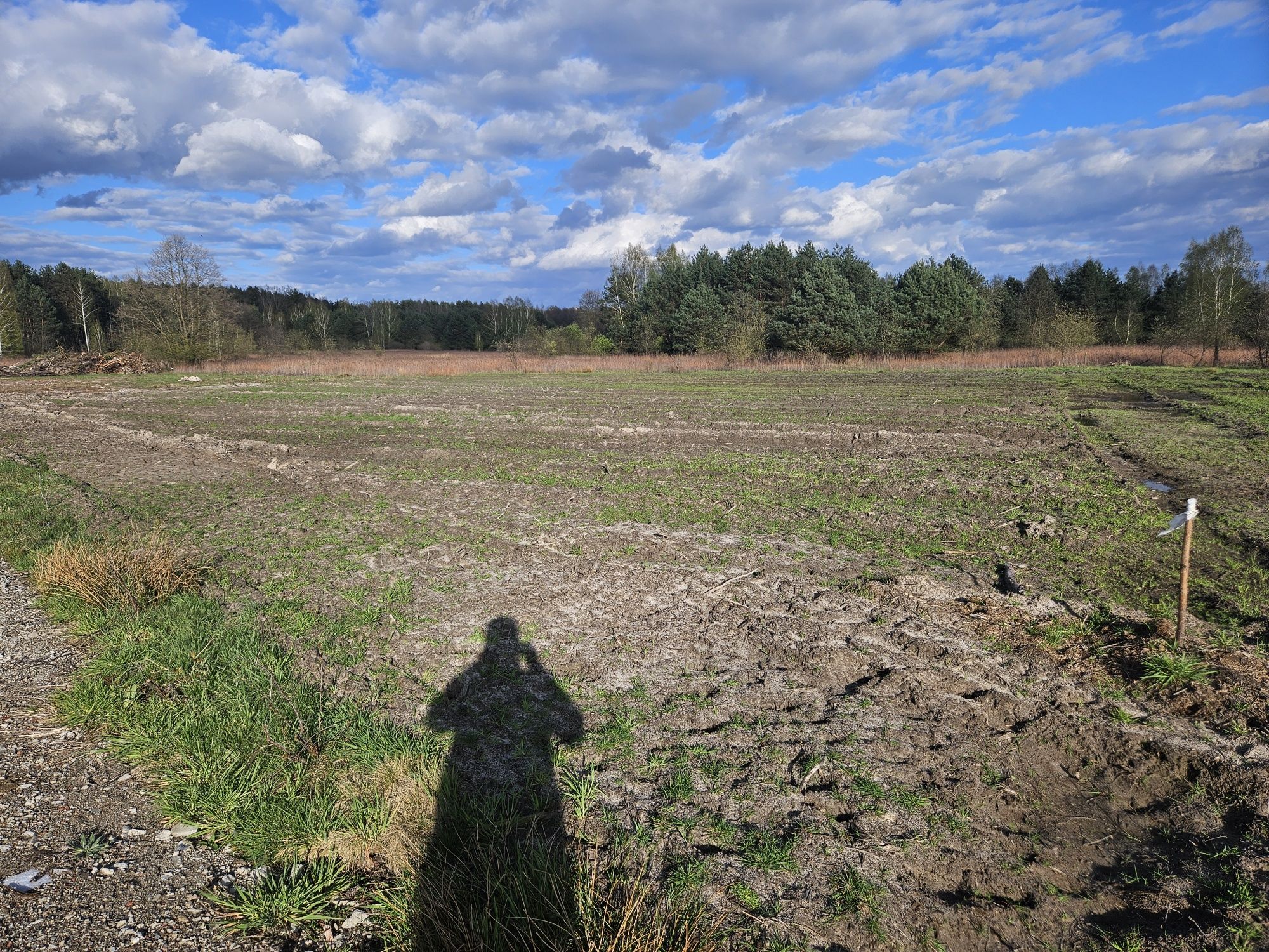 Sprzedam działkę budowlaną 16,5 ar Pysznica