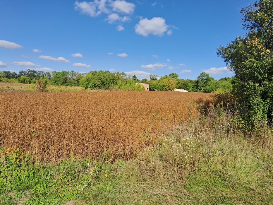 Продам земельну ділянку 8сот під будівництво житлового будинку