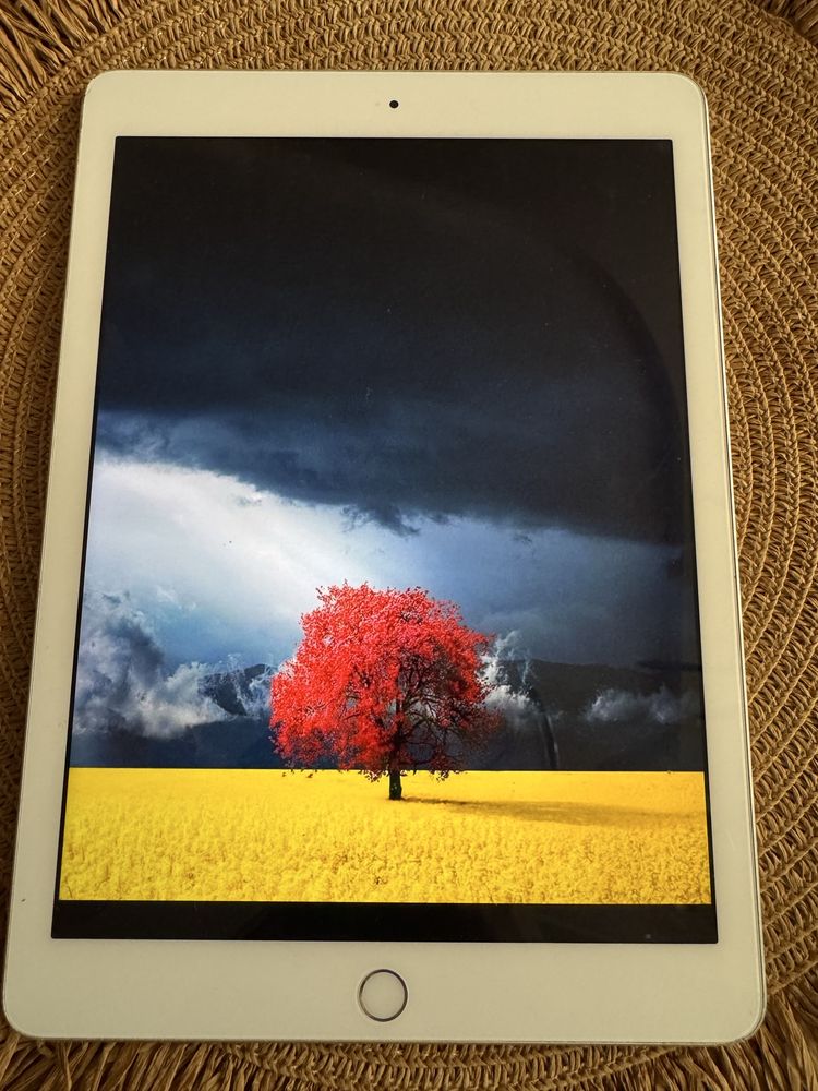 Ipad 6 поколения