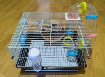 Gaiola Hamster (2 meses uso) - Oferta bola