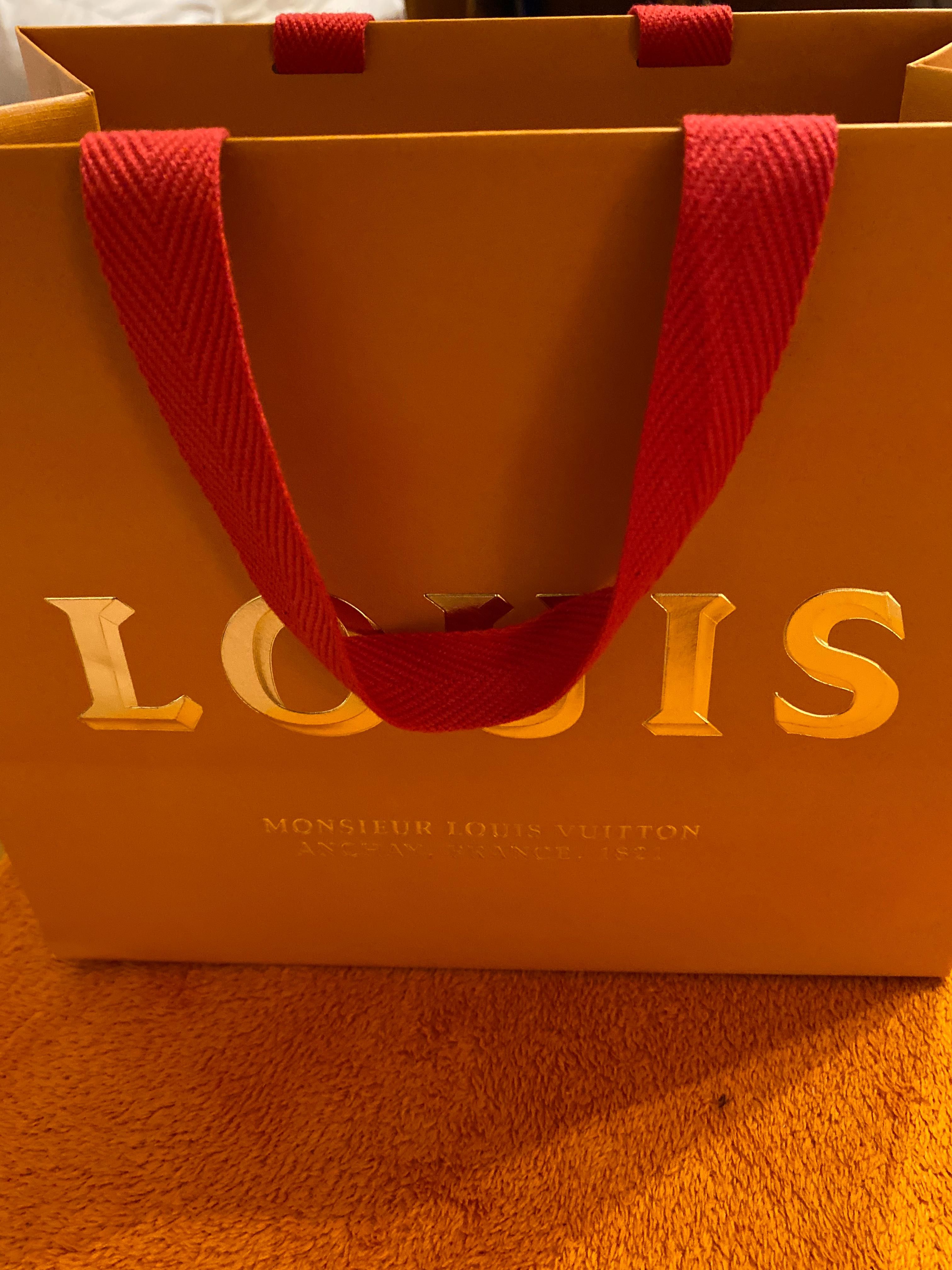 Sacas louis vuitton