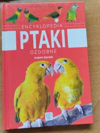 Ptaki ozdobne — Encyklopedia