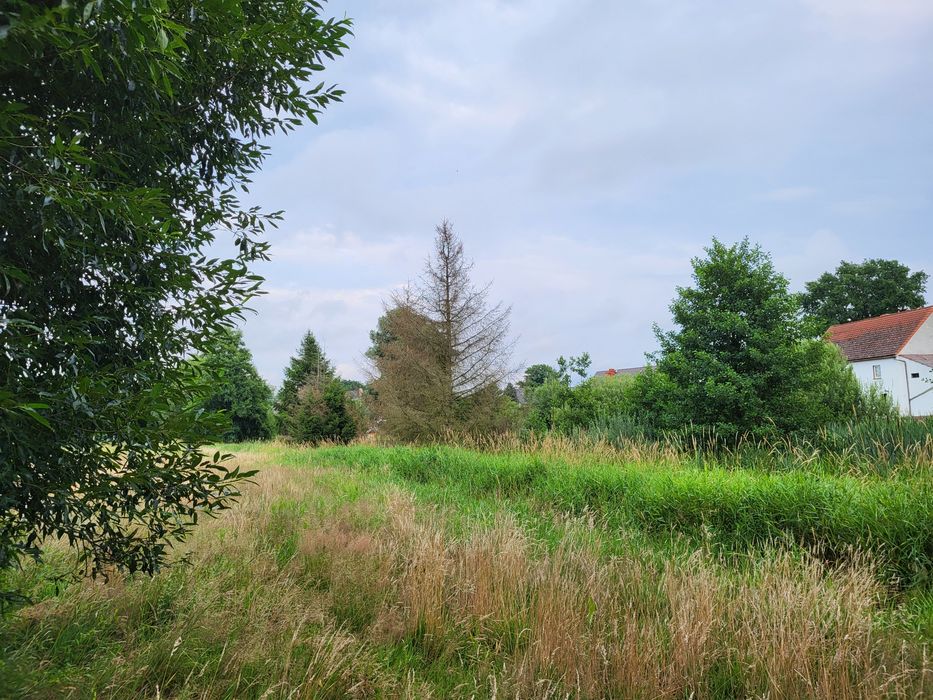 sprzedam działkę budowlaną