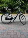 Rower Holenderskie Gazelle Orange C7