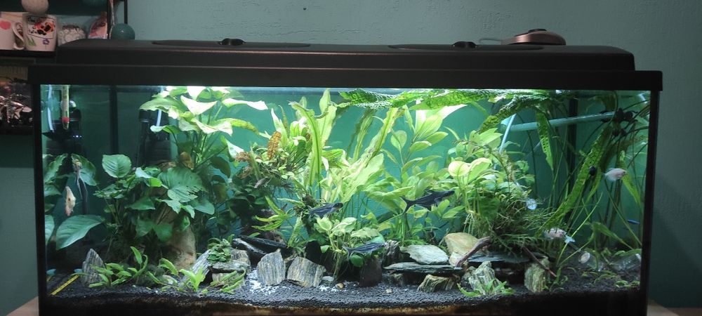 akwarium 300l dł.120 wys.50 szer.50