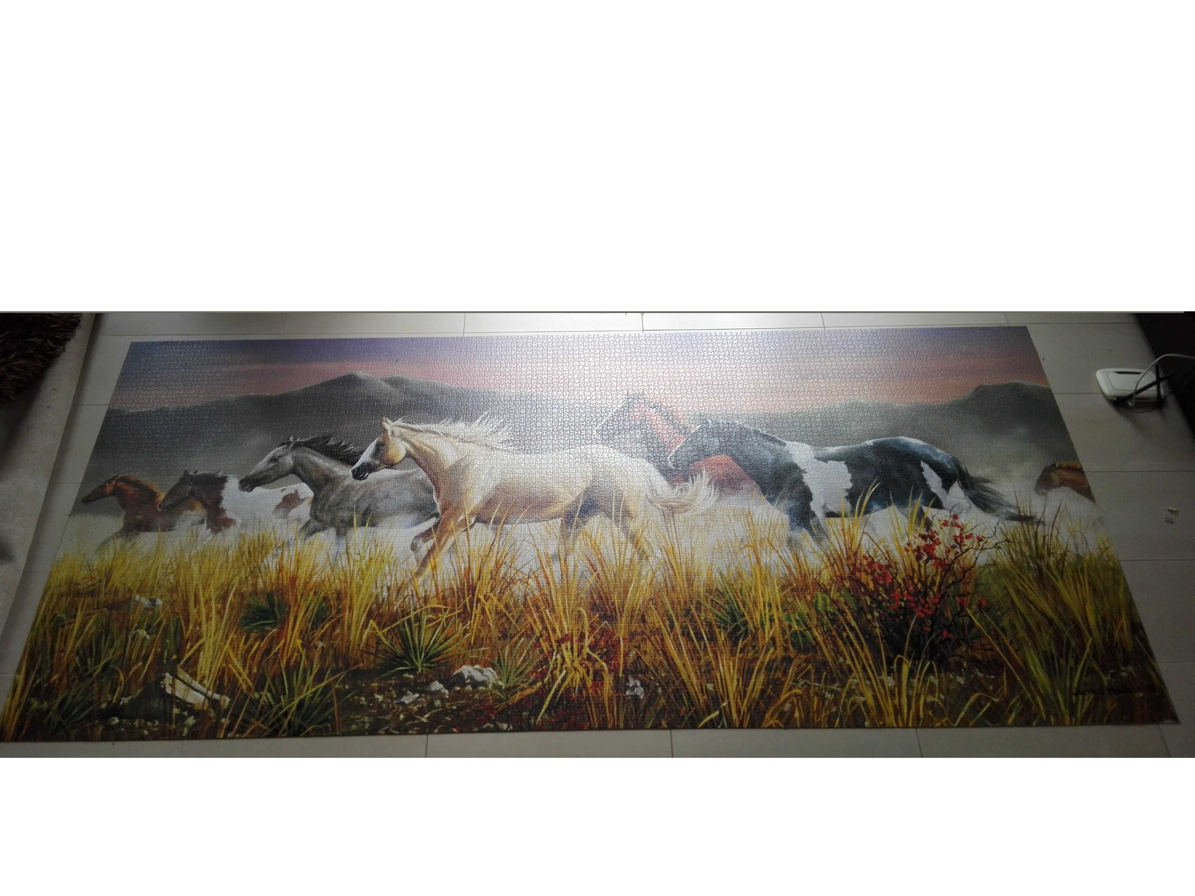 Puzzle Clementoni 13200 z organizerem Kompletne Band of Thunder