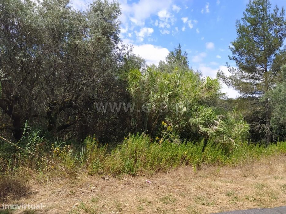 Terreno Para Construção em Ourém!