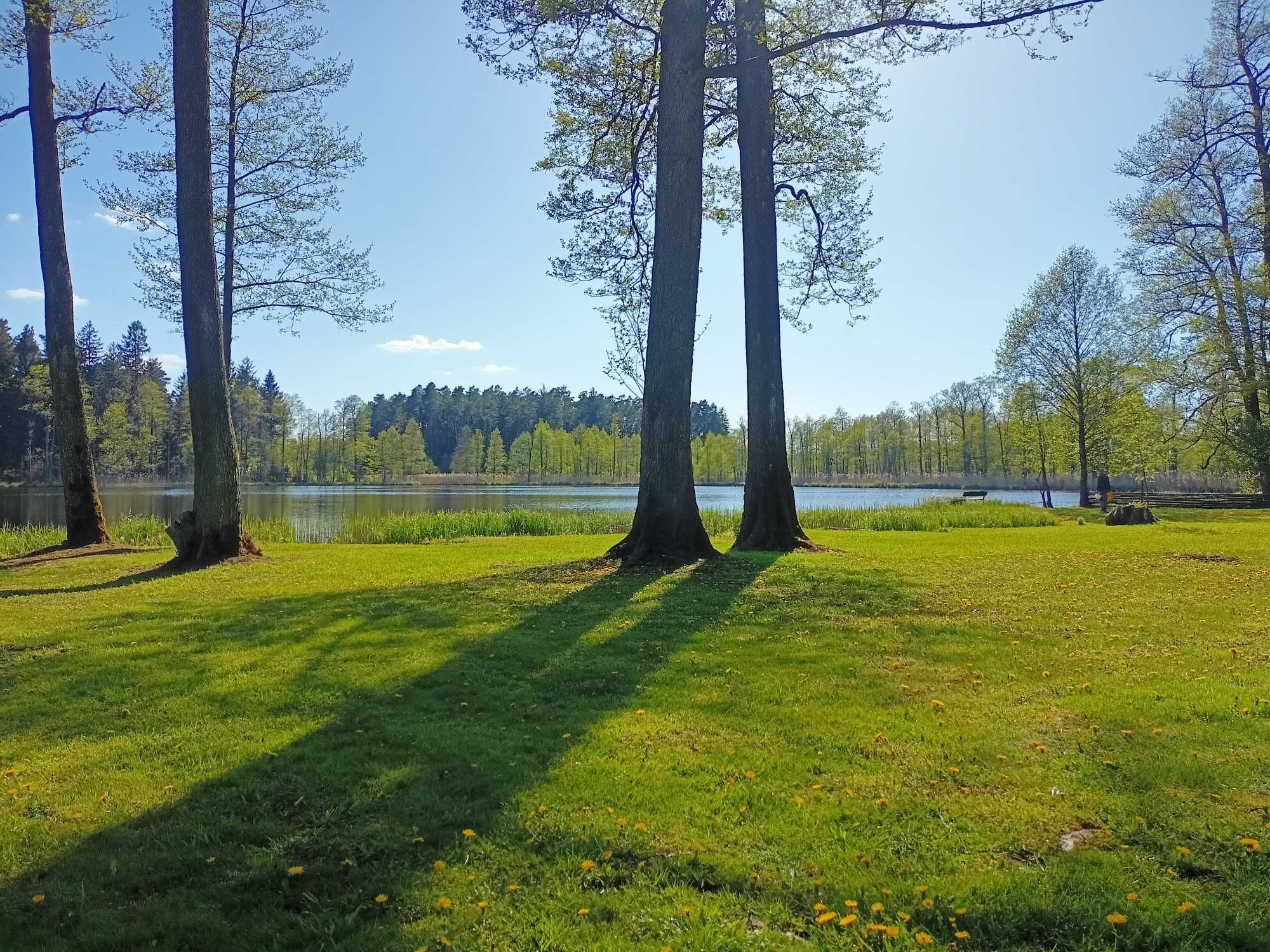 "Szałas na Hałas". Domek letniskowy nad jeziorem. Mazury.