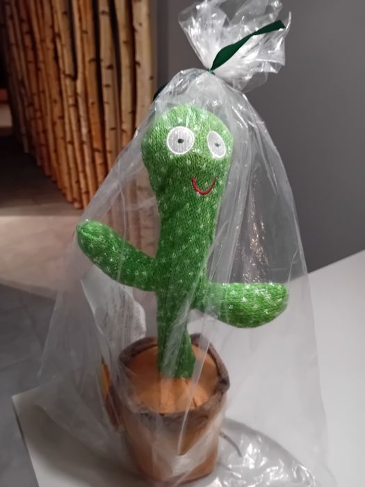 Gadający kaktus śpiewa tańczy powtarza wszystko zabawka Nowa