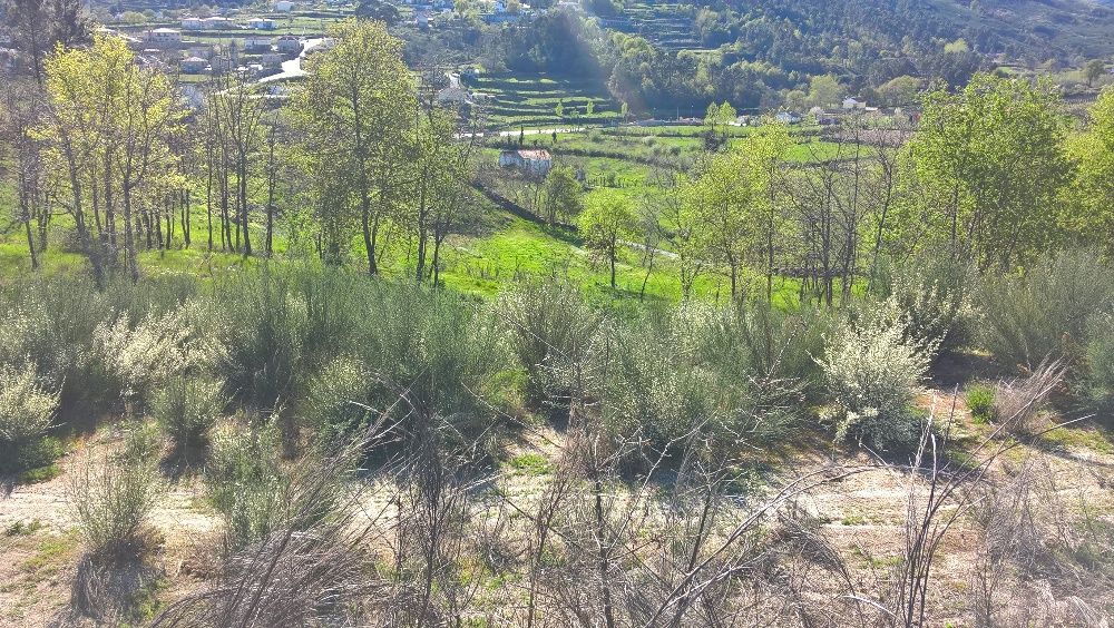 Terreno Para construção Baião, Gôve