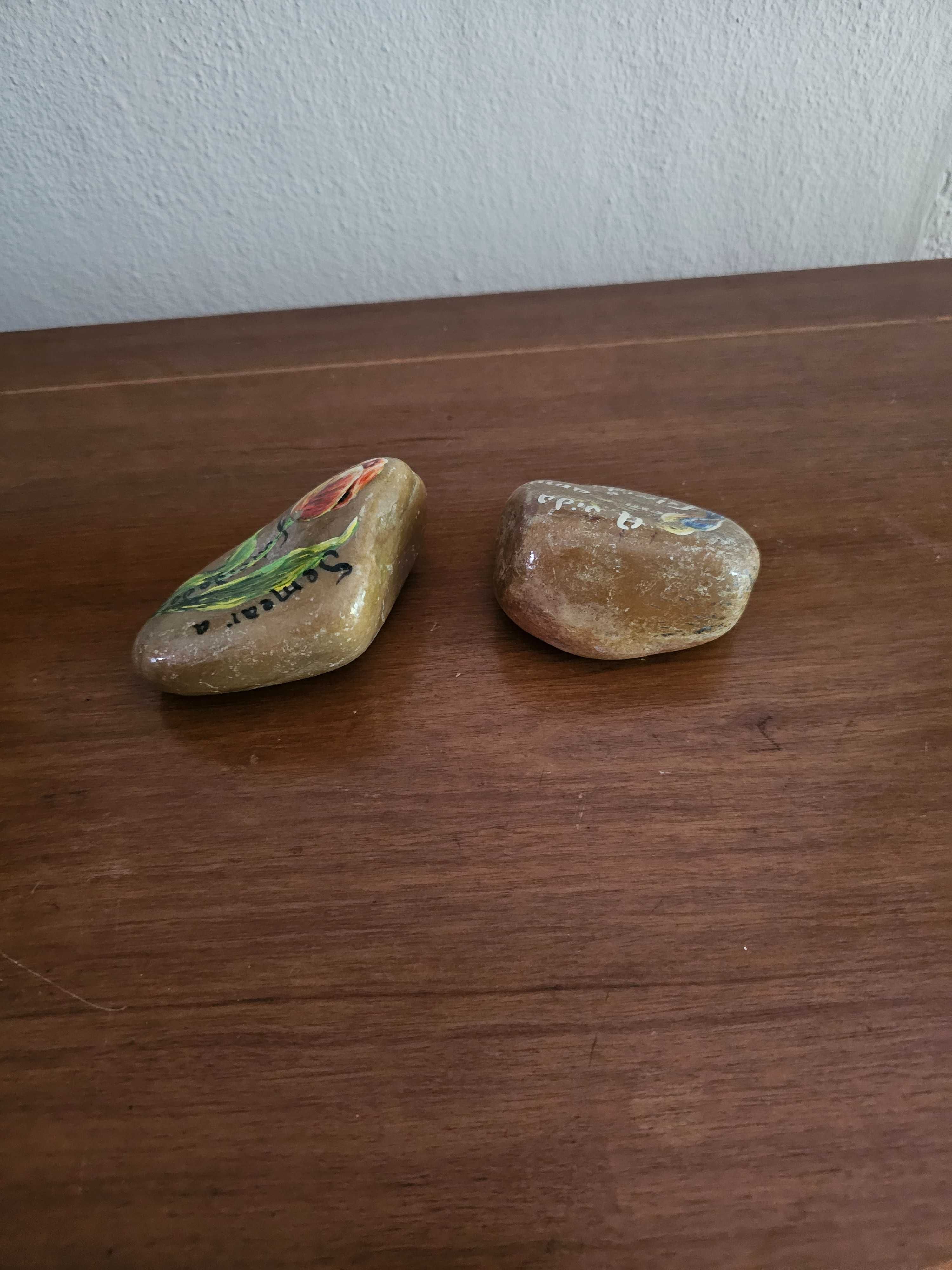 Conjunto de Pedras Decorativas Pintadas à Mão