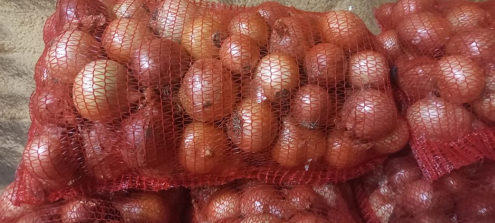 Продаж цибулі  врожайність 2025р (морква,буряк)