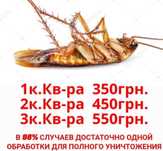 Профессиональное уничтожение Тараканов Клопов Блох Клещей Комаров Мух
