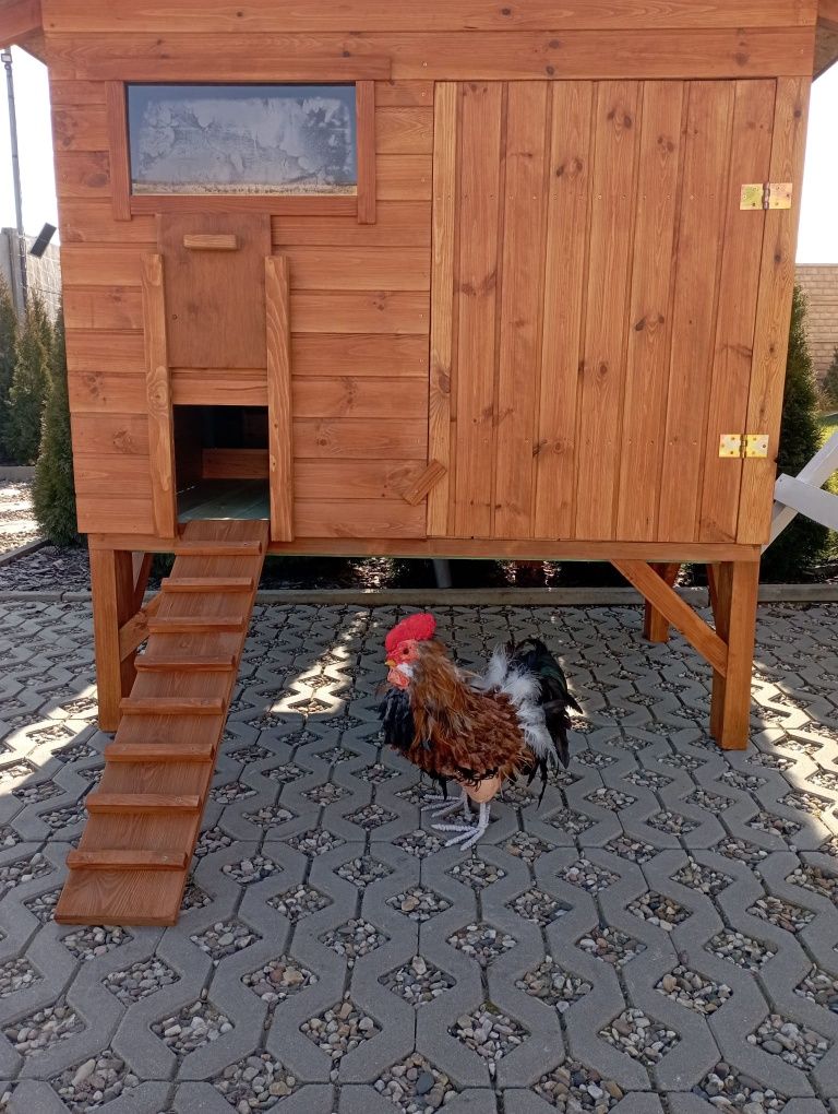 Kurnik drewniany. Domek dla kur.