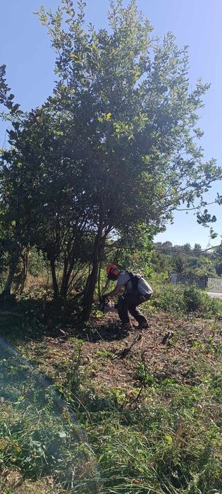 Wycinka drzew, czyszczenie nieużytków, zbieranie liści, koszenie trawy