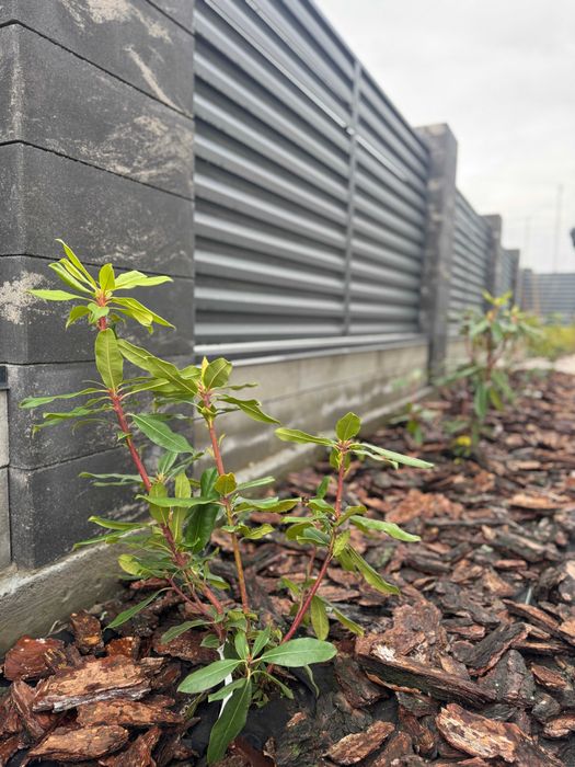 Котедж з сучасним ремонтом у курортному Ворзелі! Мінімальне оформлення