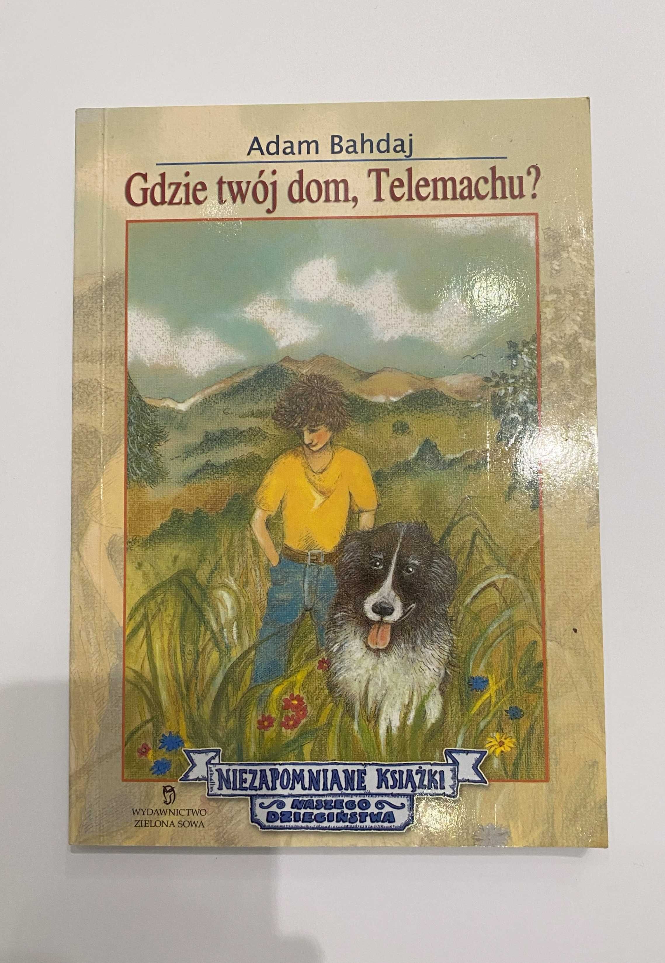 Książka: Gdzie jest Twój dom Telemachu?