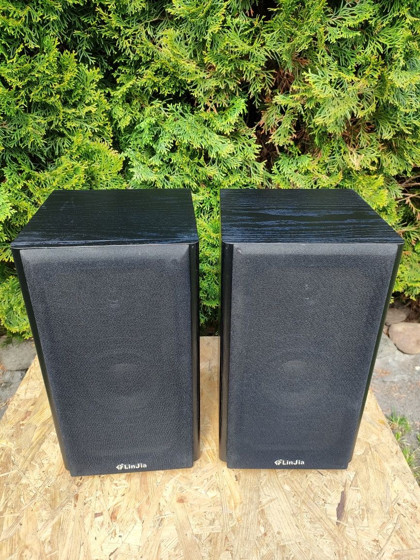 Kolumny Monitory Audiofilskie LINJIA 501 100 Wat