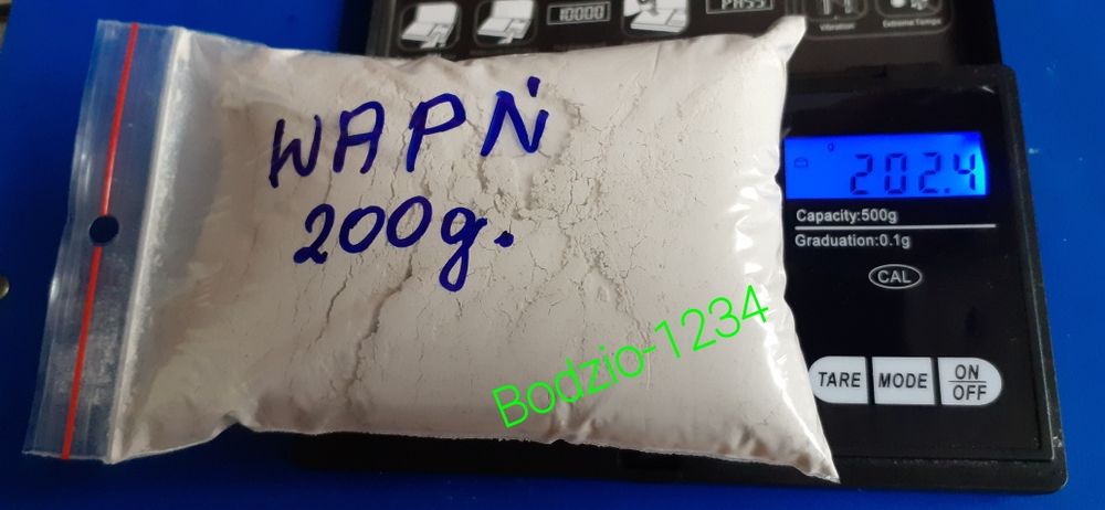 Gigantyczne ślimaki afrykańskie achatina Reticulata full albino.