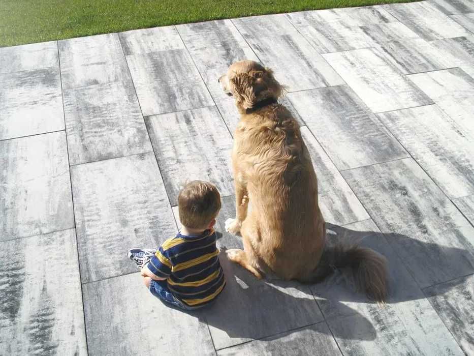 Kostka brukowa/ Płyty tarasowe/ Ogrodzenia/ Palisady/ Obrzeża